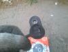 post-81021-0-33575100-1408351379_thumb.jpg