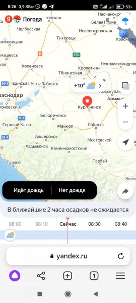 Screenshot_2024-02-07-08-26-16-234_com.yandex.browser.jpg