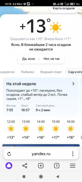 Screenshot_2025-01-09-12-10-33-720_com.yandex.browser.jpg